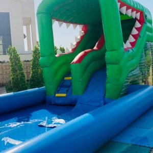 CROCODILE SLIDE WITH POOL.  10X6X6M