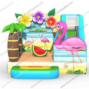 Flamingo combo (size-5x5x3m)