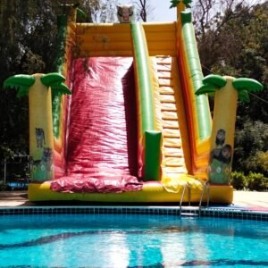 Tiger slide for pool (10x6x9m)