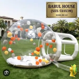 Babul house