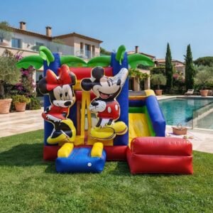 Micky mini bouncy combo (4x4x3m)